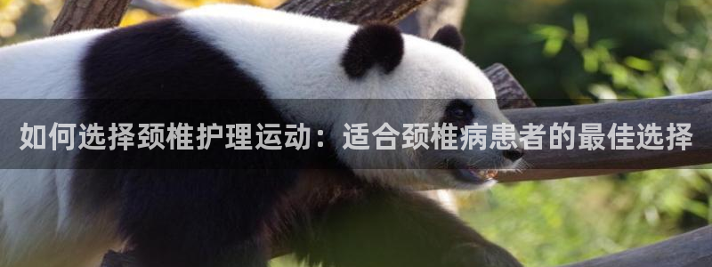 看球体育聚合app：如何选择颈椎护理运动：适合颈椎病患者的最佳选择