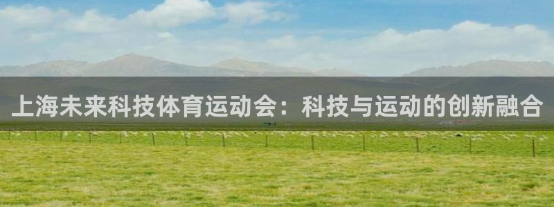 看球体育高清直播在线观看：上海未来科技体育运动会：科技与运动的创新融合