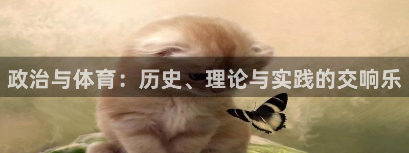 看球体育在线下载：政治与体育：历史、理论与实践的交响乐