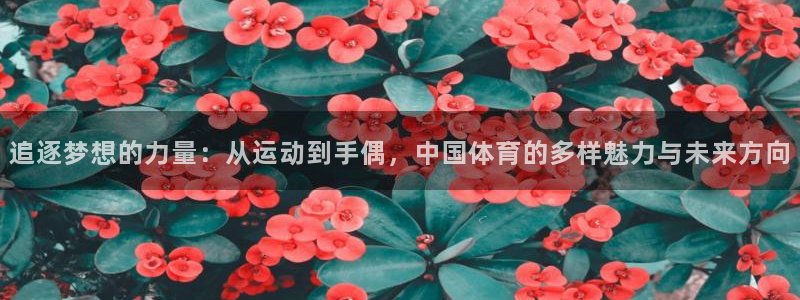看球体育足球直播：追逐梦想的力量：从运动到手偶，中国体育的多样魅力与未来方向