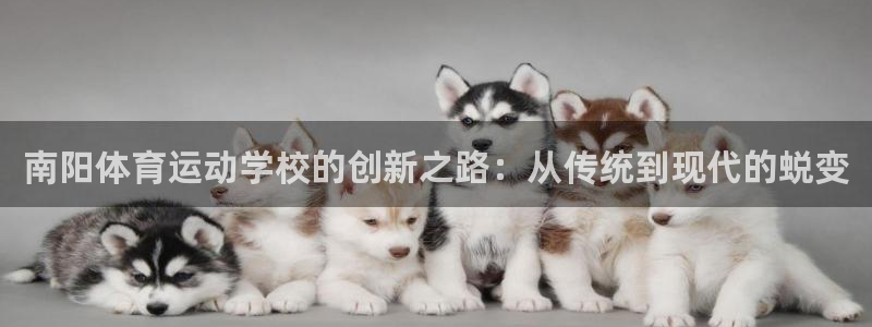 看球体育广西速伟科技有限公司：南阳体育运动学校的创新之路：从传统到现代的蜕变