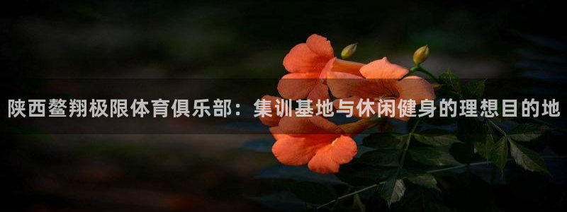 看球体育平台：陕西鳌翔极限体育俱乐部：集训基地与休闲健身的理想目的地